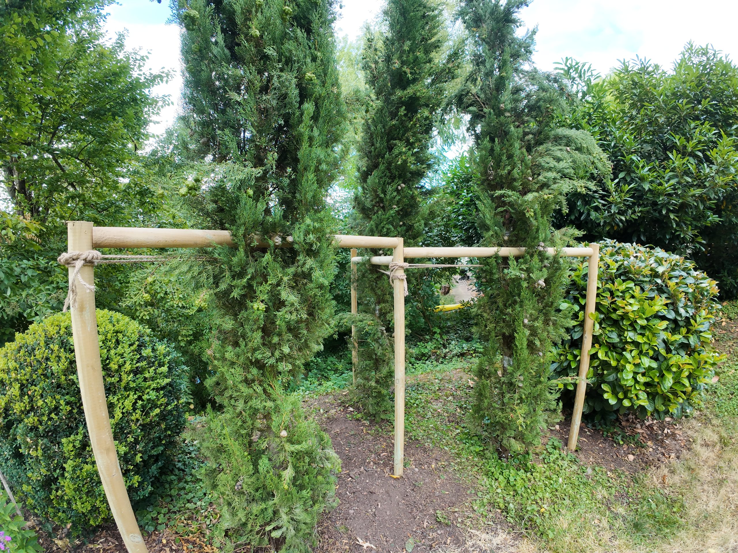 Baumpflege von Arbor Tactics